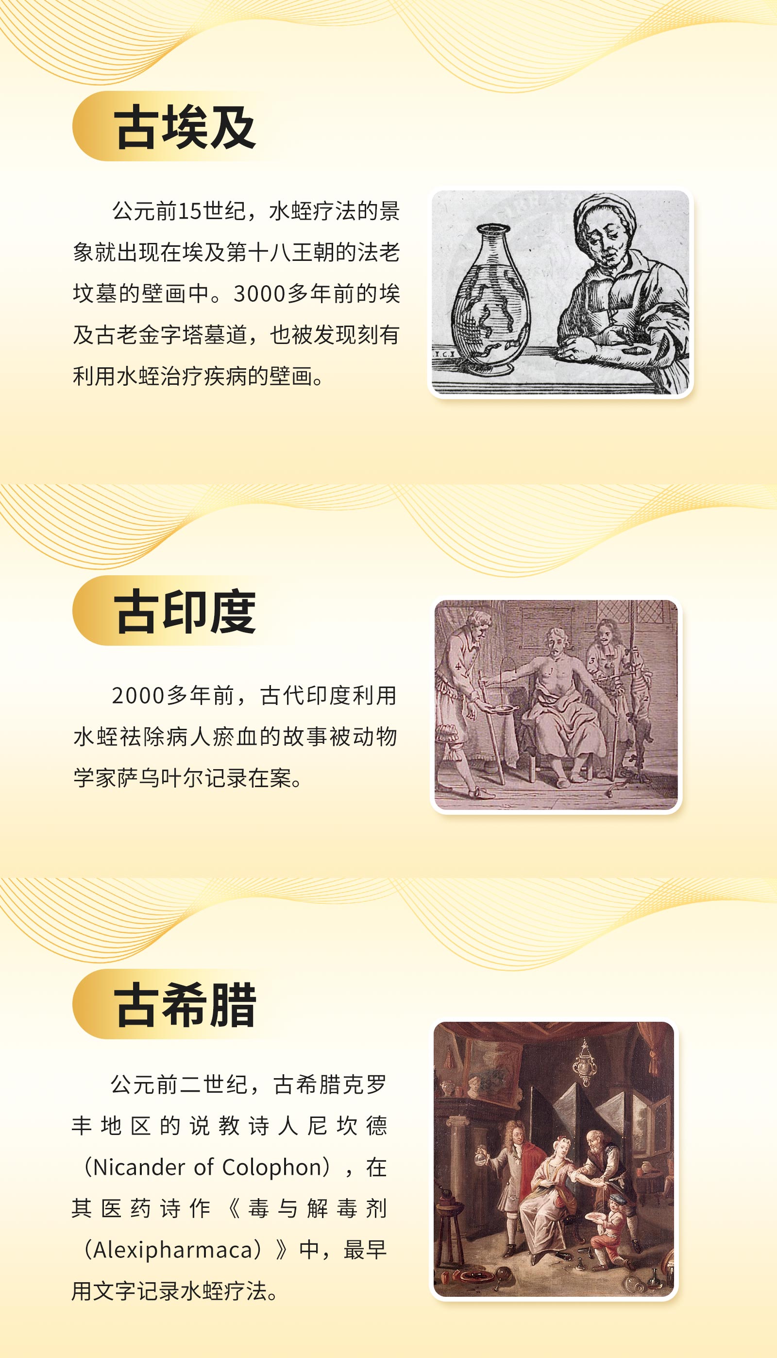 了解水蛭历史-简體(tǐ)版0315_02.jpg